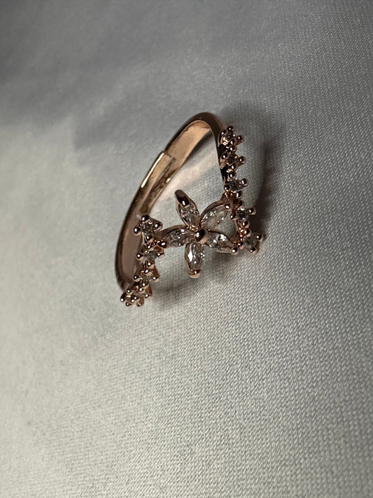 Minimal Ring π