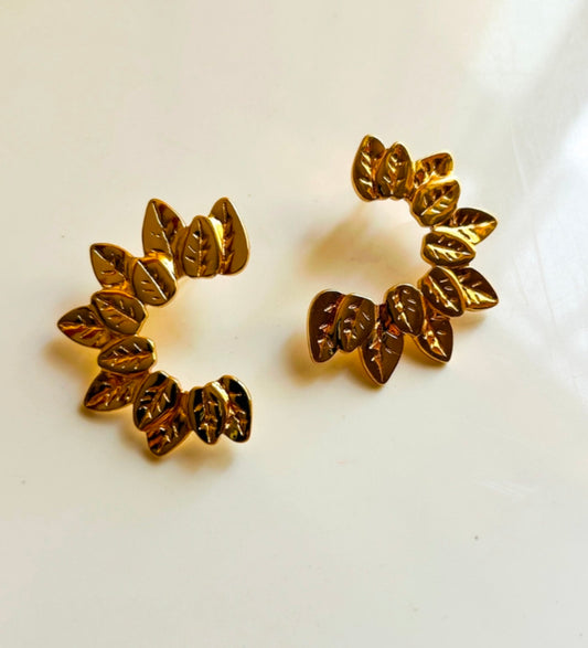 Curved Earring