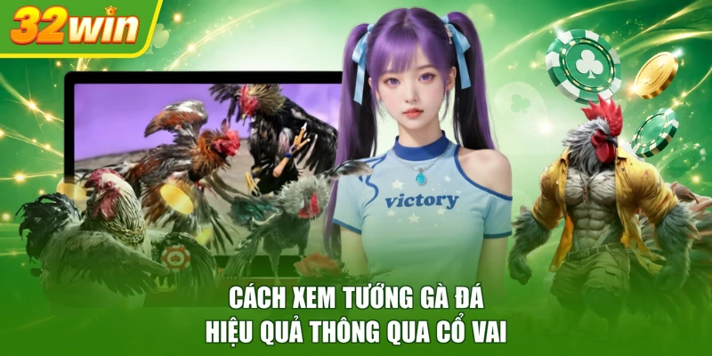 Cách xem tướng gà đá hiệu quả thông qua cổ vai